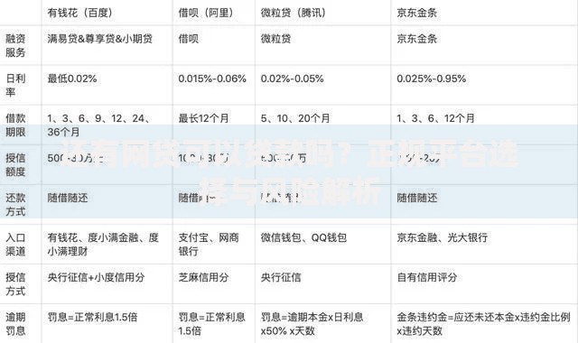 还有网贷可以贷款吗？正规平台选择与风险解析