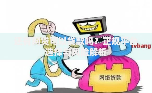 还有网贷可以贷款吗？正规平台选择与风险解析