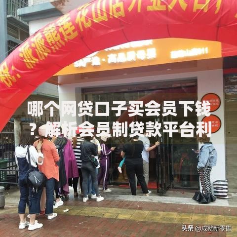 哪个网贷口子买会员下钱？解析会员制贷款平台利弊与选择技巧