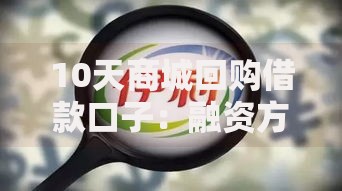 10天商城回购借款口子：融资方案深度解读