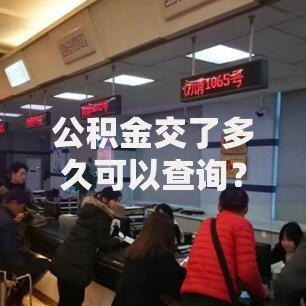 公积金交了多久可以查询？到账时间和查看方法全解析