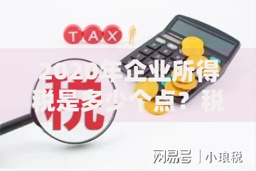 2020年企业所得税是多少个点？税率解析与省钱妙招