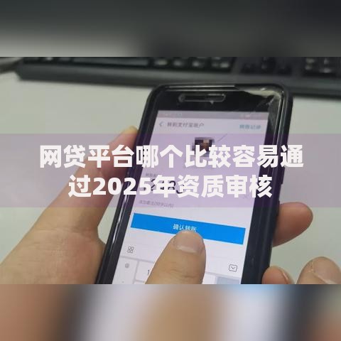 网贷平台哪个比较容易通过2025年资质审核