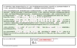 有效期mmyy怎么填？手把手教你正确格式与避坑技巧