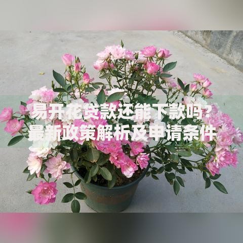 易开花贷款还能下款吗？最新政策解析及申请条件一览