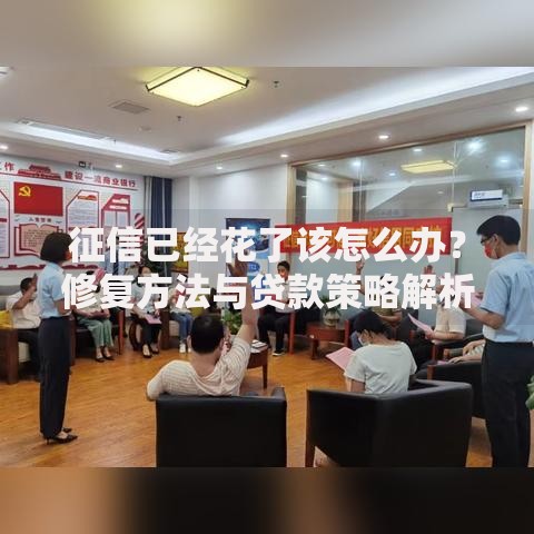 征信已经花了该怎么办？修复方法与贷款策略解析
