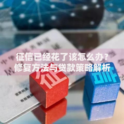 征信已经花了该怎么办？修复方法与贷款策略解析