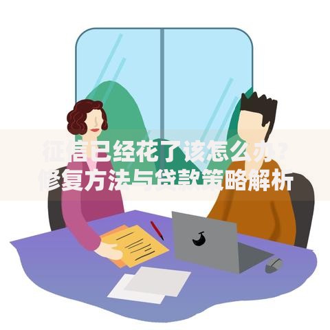 征信已经花了该怎么办？修复方法与贷款策略解析