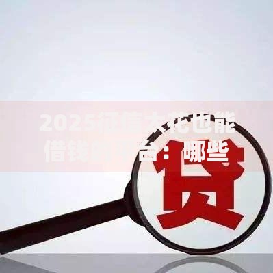 2025征信太花也能借钱的平台：哪些渠道能快速下款？