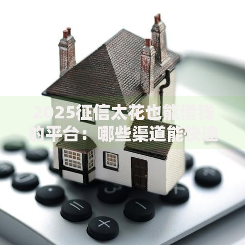 2025征信太花也能借钱的平台：哪些渠道能快速下款？