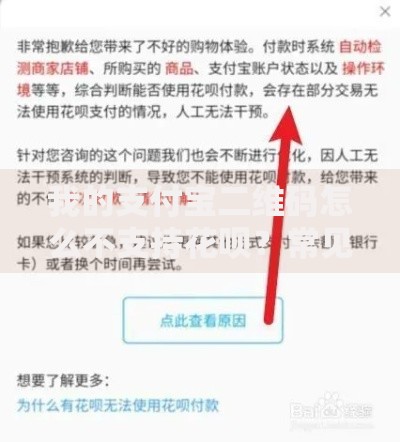 我的支付宝二维码怎么不支持花呗？常见原因与解决办法