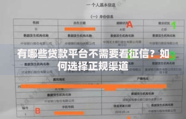 有哪些贷款平台不需要看征信？如何选择正规渠道