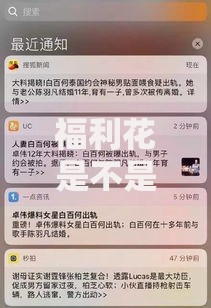 福利花是不是黑花口子？安全吗？正规吗？用户必看深度解析
