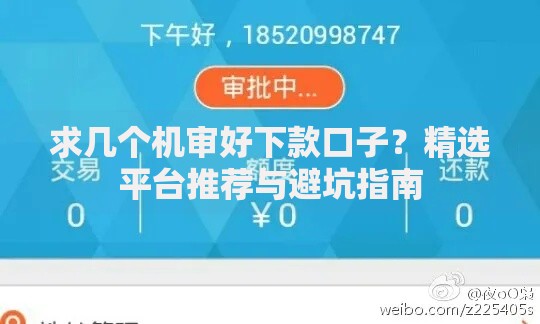 求几个机审好下款口子？精选平台推荐与避坑指南