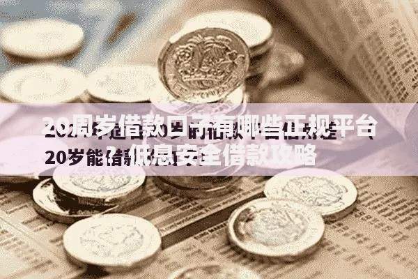20周岁借款口子有哪些正规平台？低息安全借款攻略