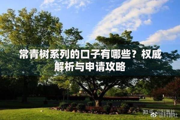常青树系列的口子有哪些？权威解析与申请攻略