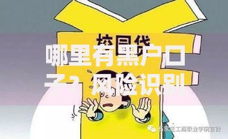 哪里有黑户口子？风险识别与合法借贷指南