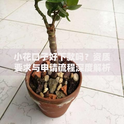 小花口子好下款吗?资质要求与申请流程深度解析 小花口子好下款吗?资质要求与申请流程深度解析