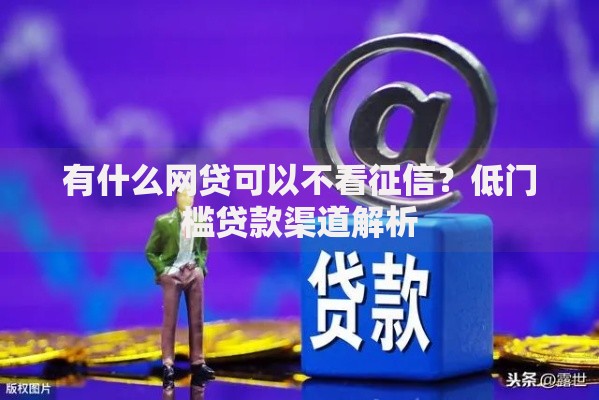 有什么网贷可以不看征信？低门槛贷款渠道解析