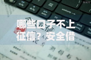 哪些口子不上征信？安全借贷渠道深度解析