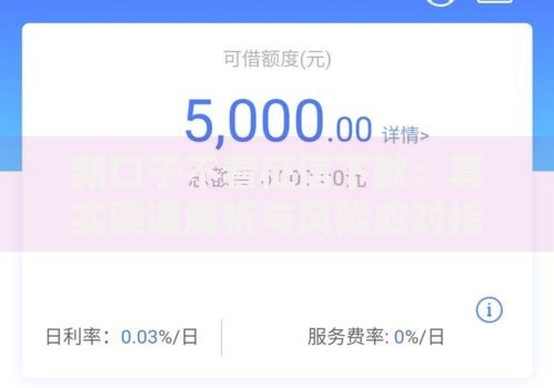新口子不看征信下款：真实渠道解析与风险应对指南