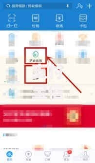 支付宝信誉积分怎么看？这五个方法帮你快速查分和提升信用
