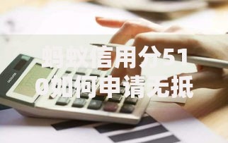 蚂蚁信用分510如何申请无抵押信用贷款详细指南