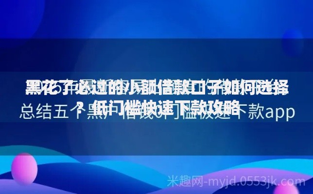 黑花了必过的小额借款口子如何选择？低门槛快速下款攻略