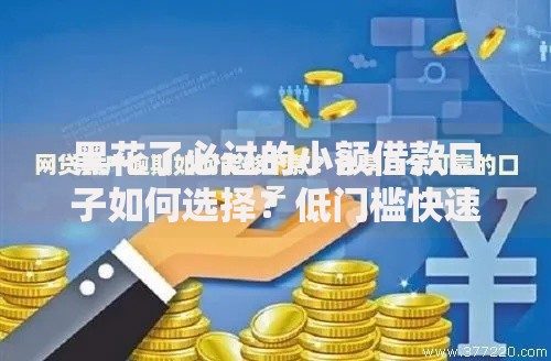 黑花了必过的小额借款口子如何选择？低门槛快速下款攻略