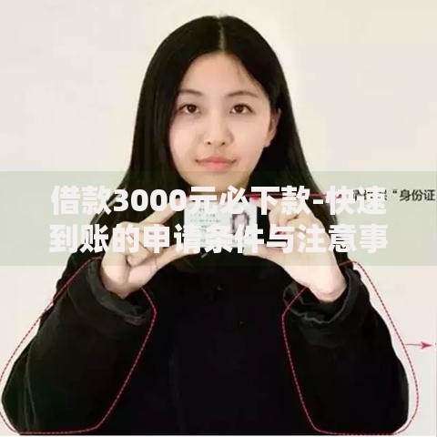 借款3000元必下款-快速到账的申请条件与注意事项解析