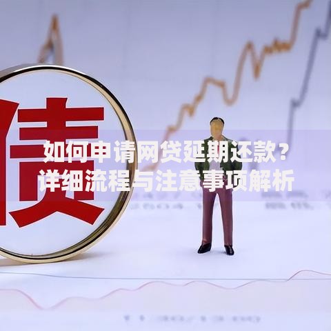 如何申请网贷延期还款？详细流程与注意事项解析