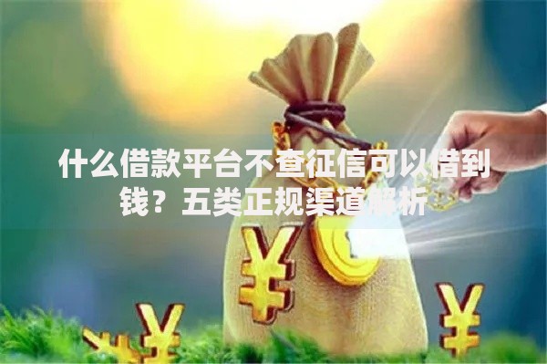 什么借款平台不查征信可以借到钱？五类正规渠道解析