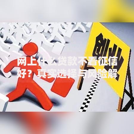 网上什么贷款不看征信好？真实选择与风险解析