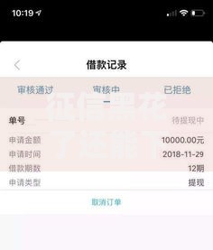 征信黑花了还能下款的口子？深度解析可靠渠道与申请技巧