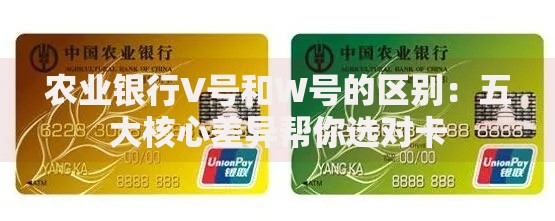 农业银行V号和W号的区别：五大核心差异帮你选对卡