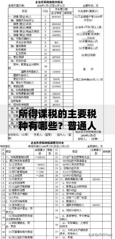所得课税的主要税种有哪些？普通人必须了解的税种与避坑指南