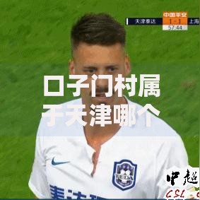 口子门村属于天津哪个村？村民贷款政策全解析