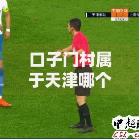 口子门村属于天津哪个村？村民贷款政策全解析