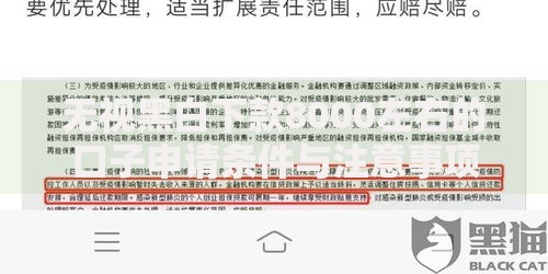 无视黑白下款8000左右的口子申请条件与注意事项解析