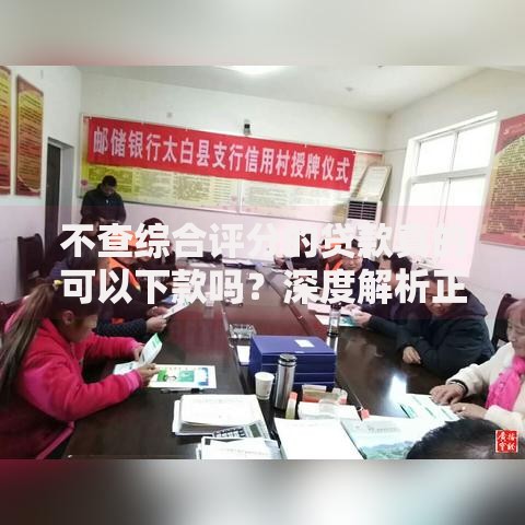 不查综合评分的贷款真的可以下款吗？深度解析正规渠道与风险防范