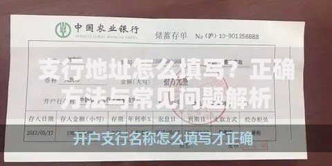 支行地址怎么填写？正确方法与常见问题解析