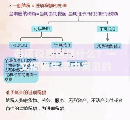 各项税费包括什么？一文搞懂生活中常见的税费种类与计算方法