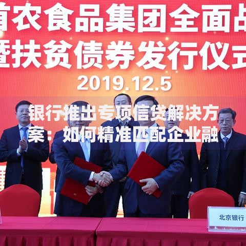 银行推出专项信贷解决方案：如何精准匹配企业融资需求？