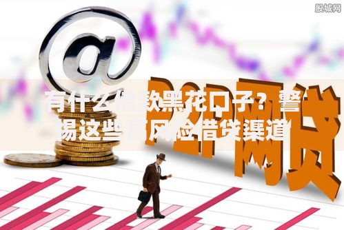 有什么借款黑花口子？警惕这些高风险借贷渠道