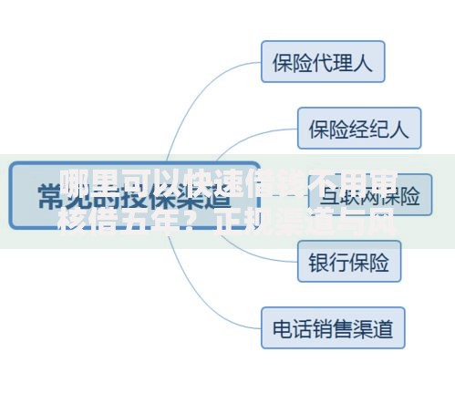 哪里可以快速借钱不用审核借五年？正规渠道与风险规避指南