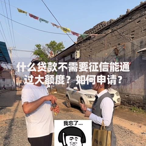 什么贷款不需要征信能通过大额度？如何申请？
