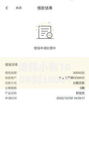 借钱小额1000到3000：快速申请攻略及平台推荐