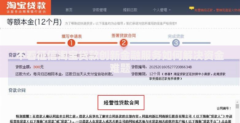 不看征信淘宝贷款创新金融服务如何解决资金难题