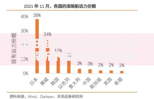 丰田租金不上征信怎么办？解析不上征信应对策略