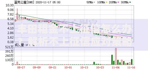 丰田租金不上征信怎么办？解析不上征信应对策略